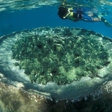 Sal Salis Ningaloo Reef Hotel Exmouth Kültér fotó